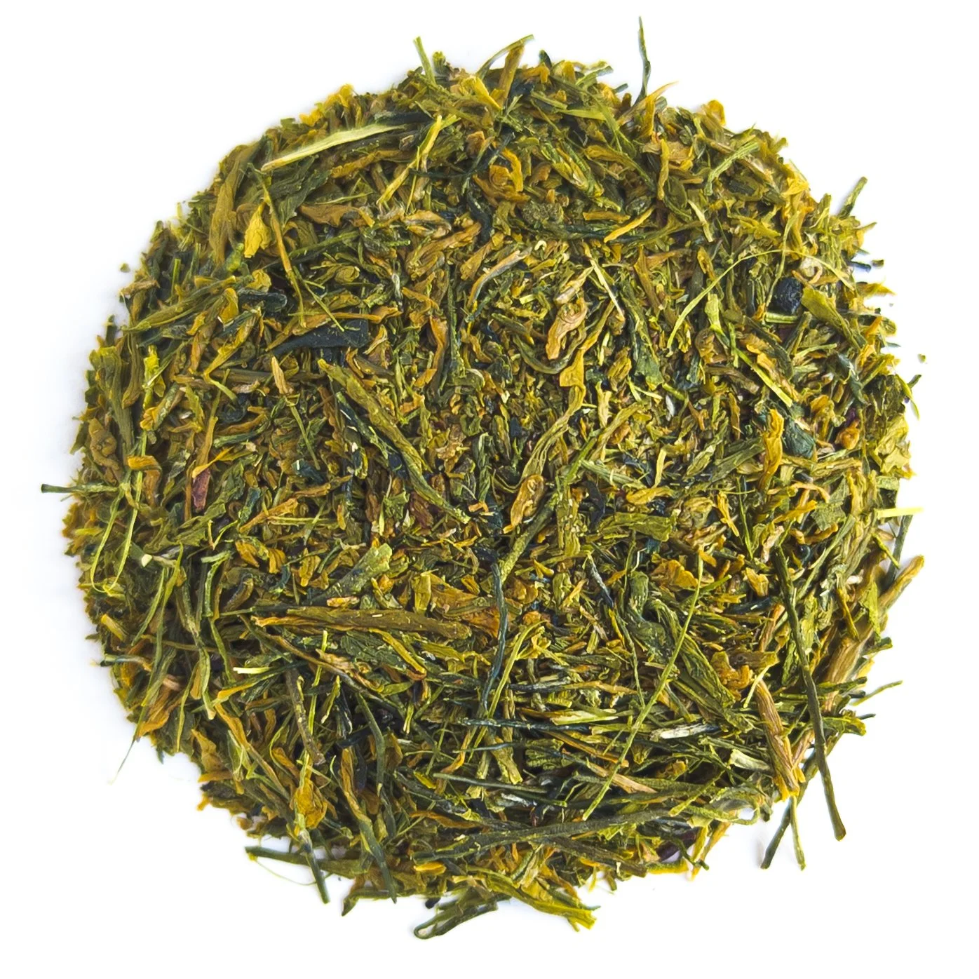 Hakusei, Weißer Stern