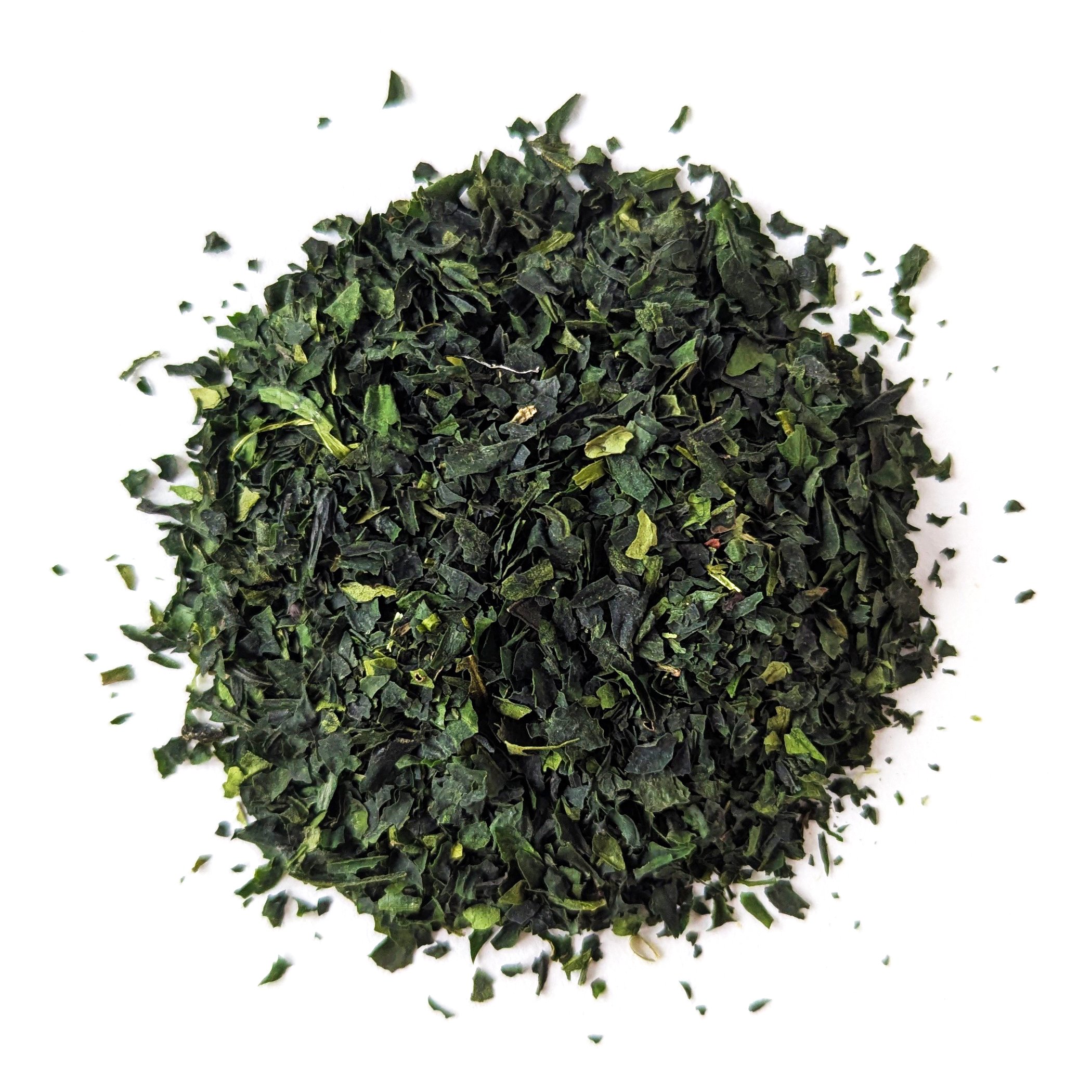 Tencha Minato