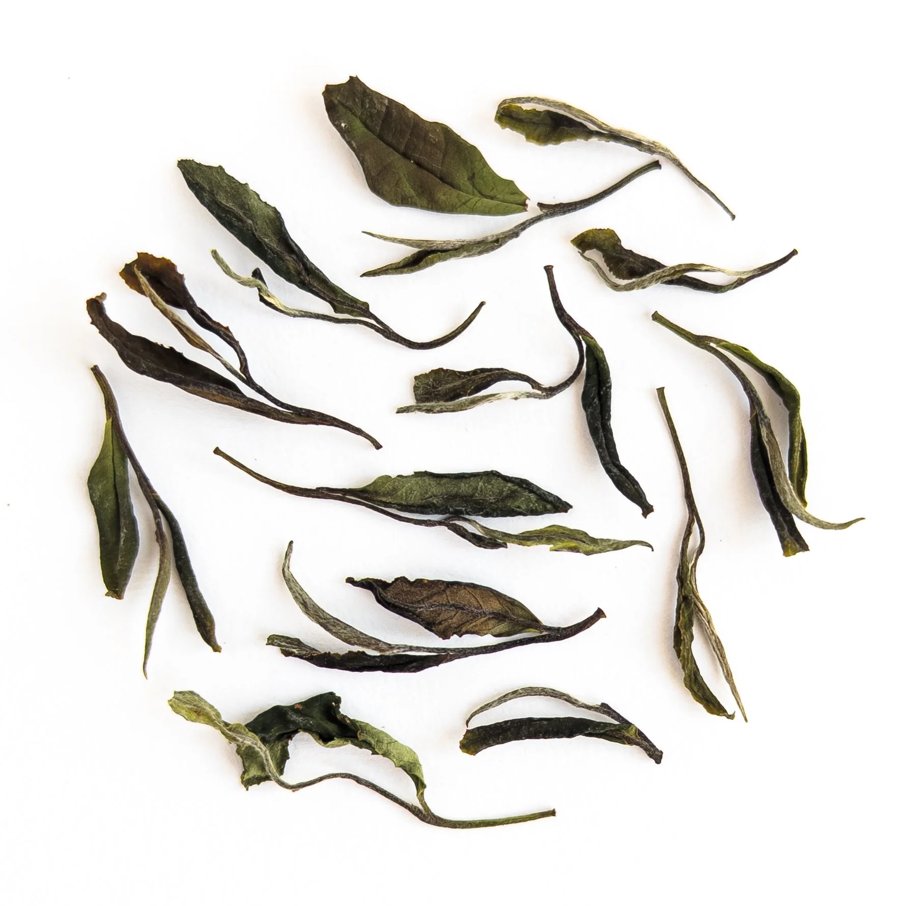 Sejak Nectar_Produktfoto_02.jpg