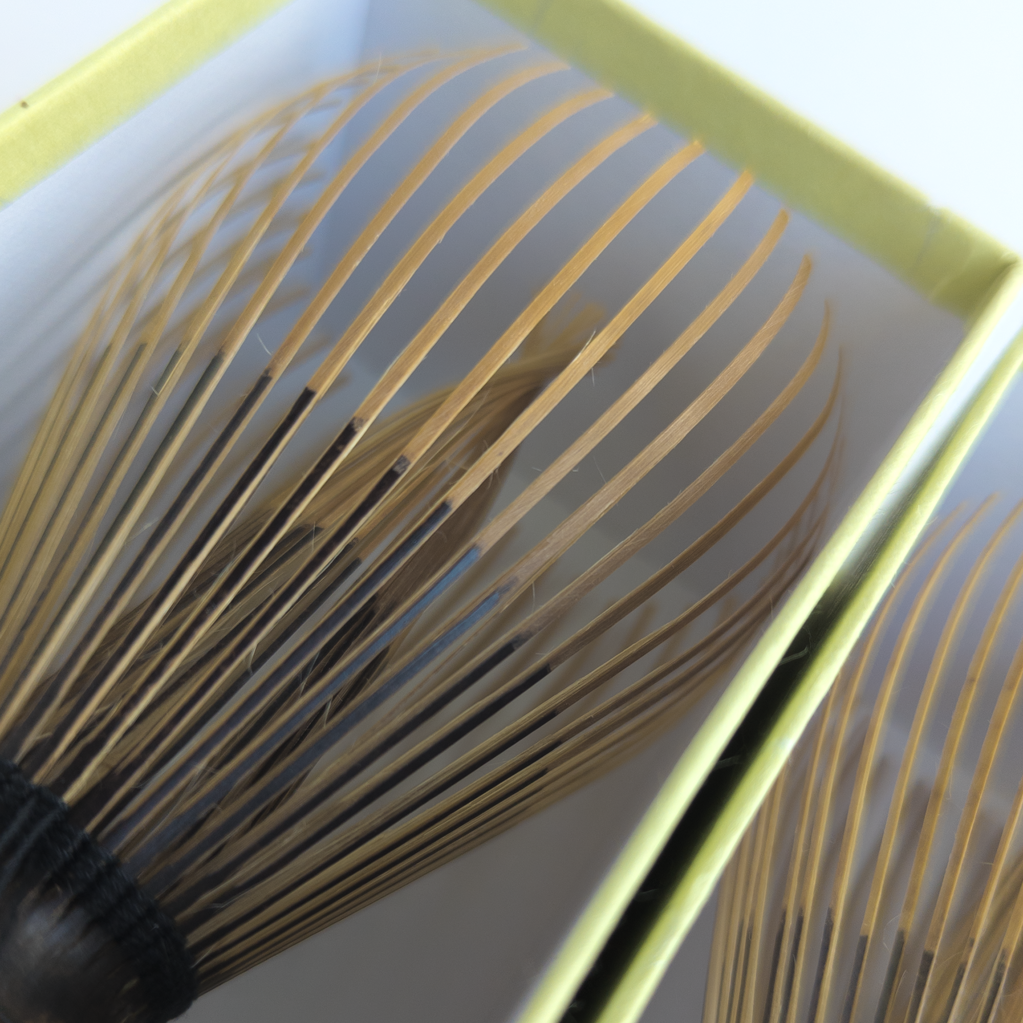 Chasen Kurotake für Koicha - Tango Tanimura