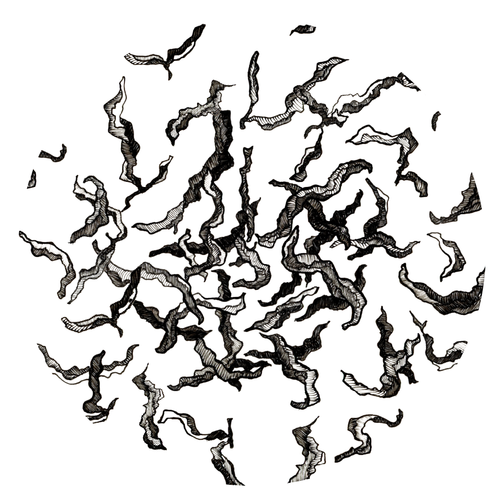 Platzhalter Teeblätter.png