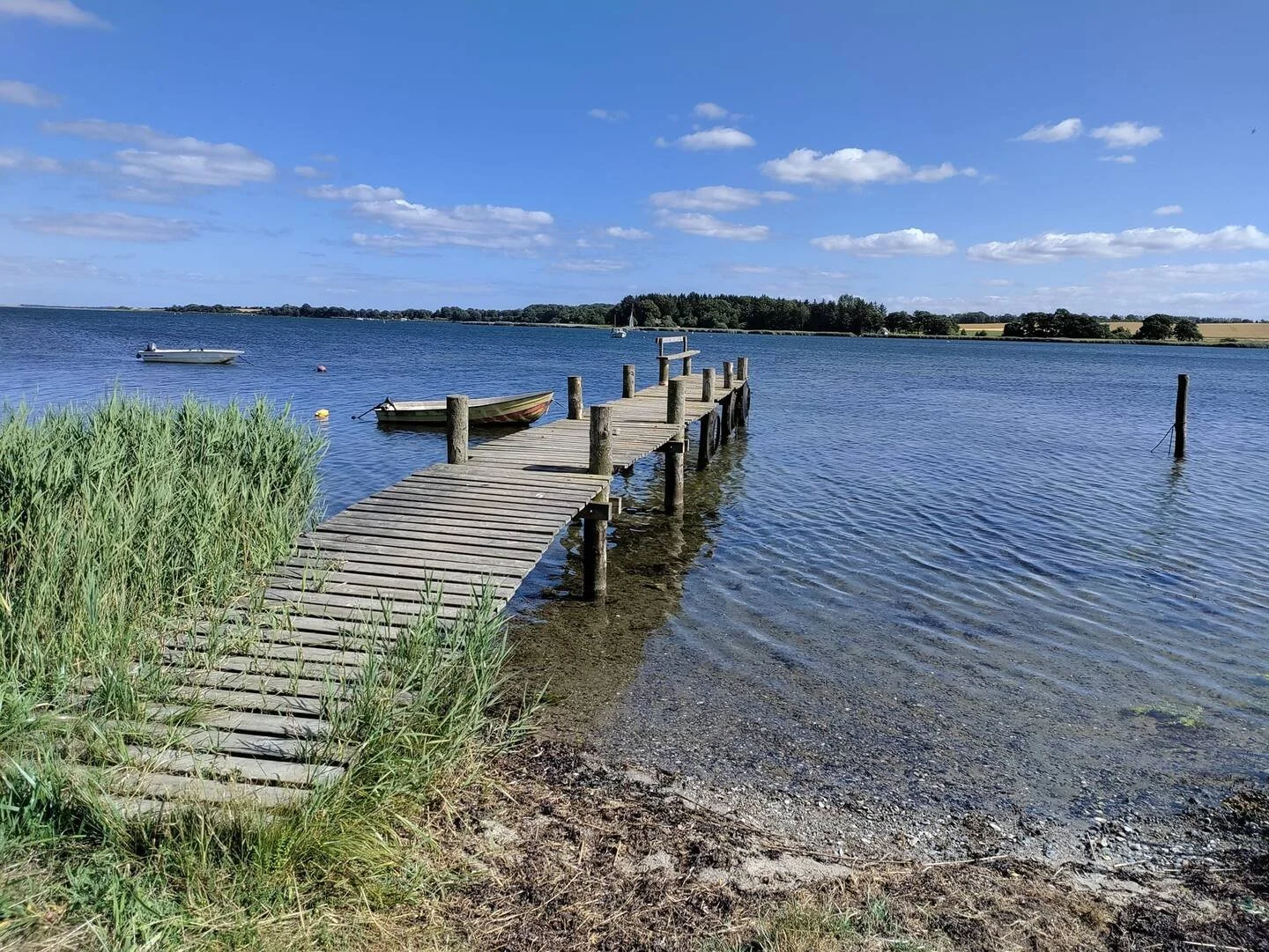 Lille bro ned ved fjorden