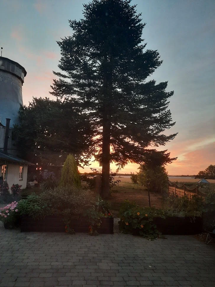 God morgen - smukt lys