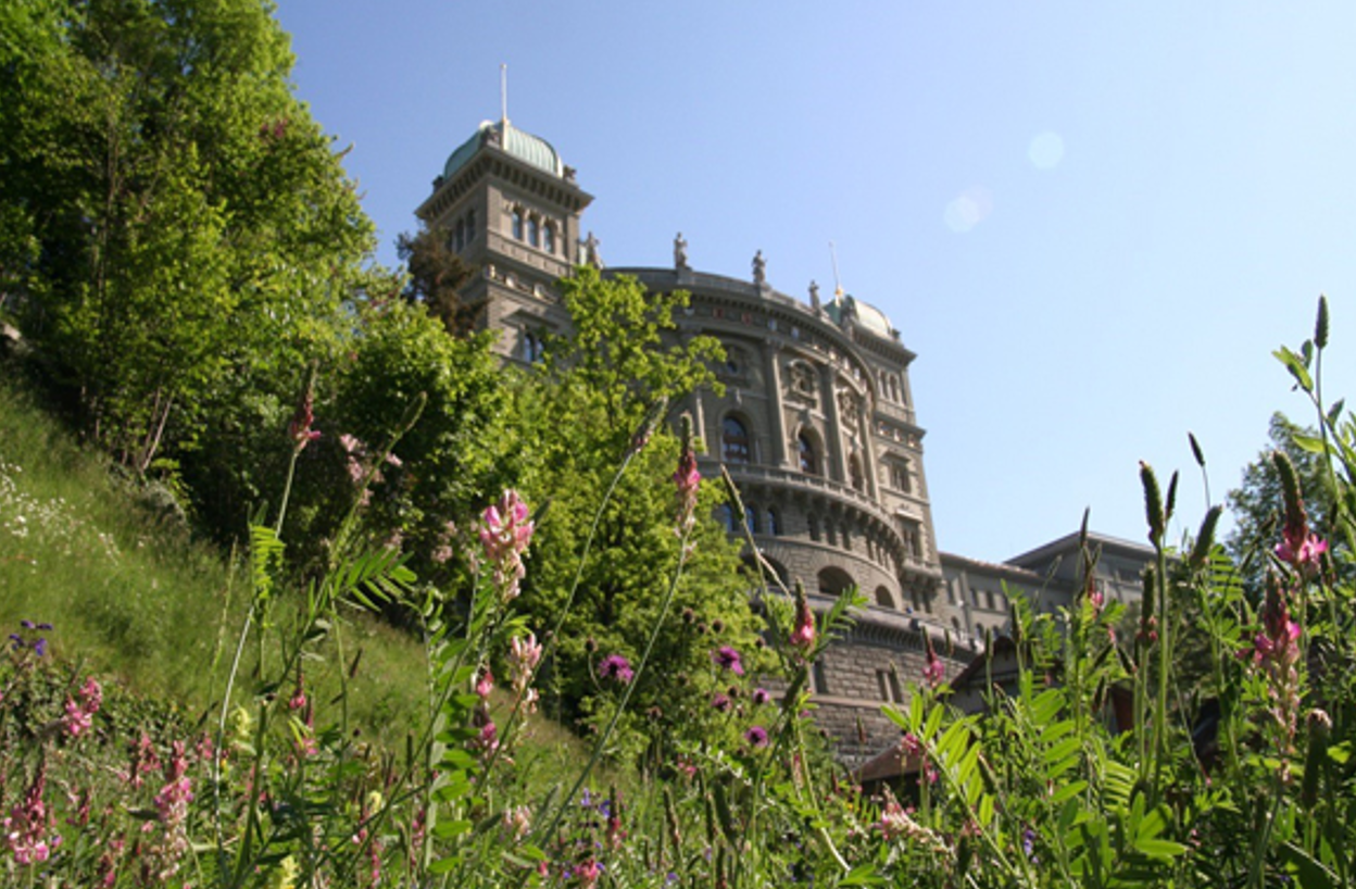 Papillons de jour en milieu urbain : un indicateur concret de biodiversité en ville