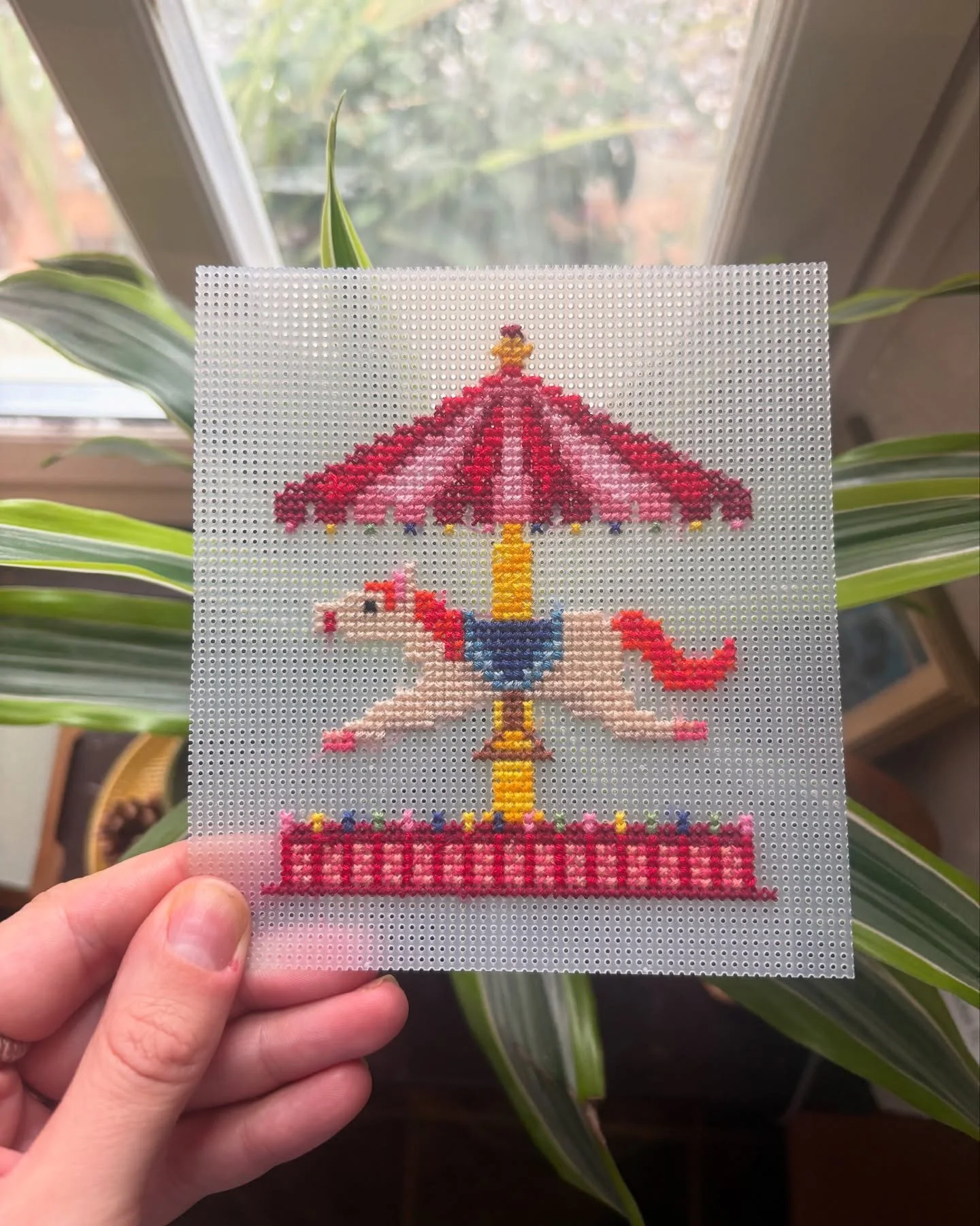 539316190_17875880643399830_5905318349345964980_n.jpg_st