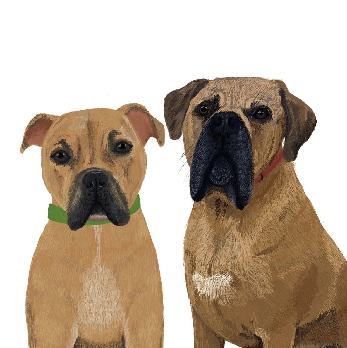 Dog Commission - Laura.png
