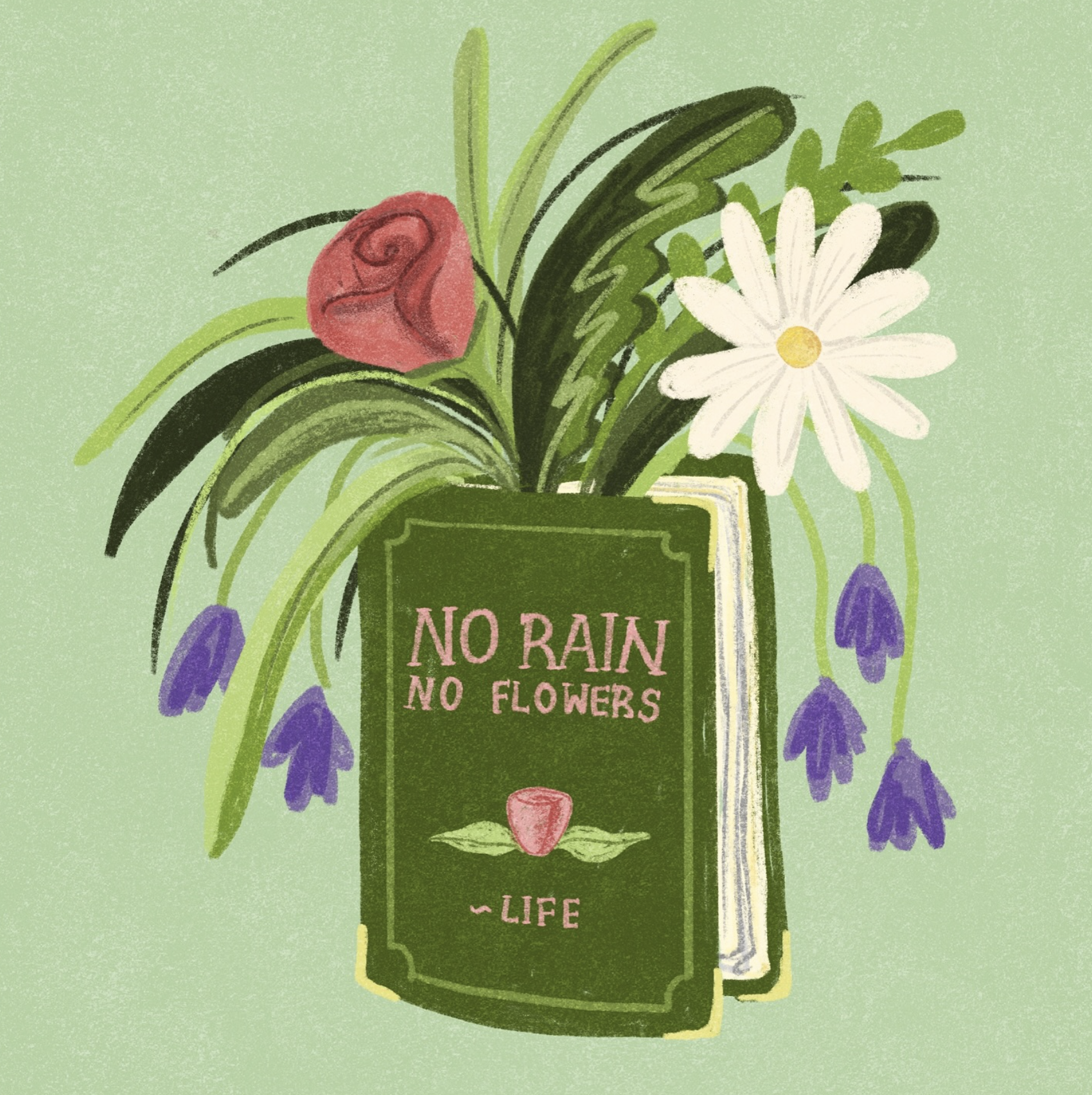 No Rain No Flowers