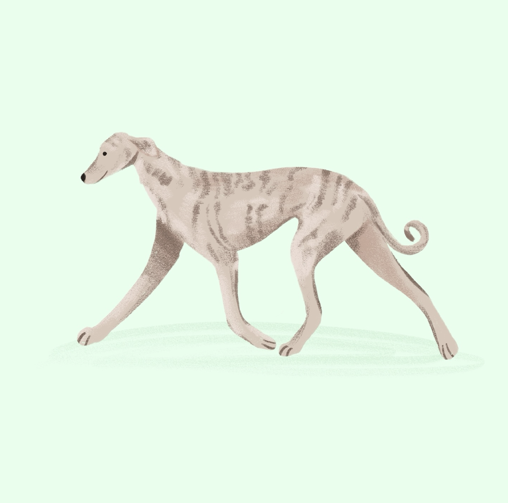 Dogust 2025