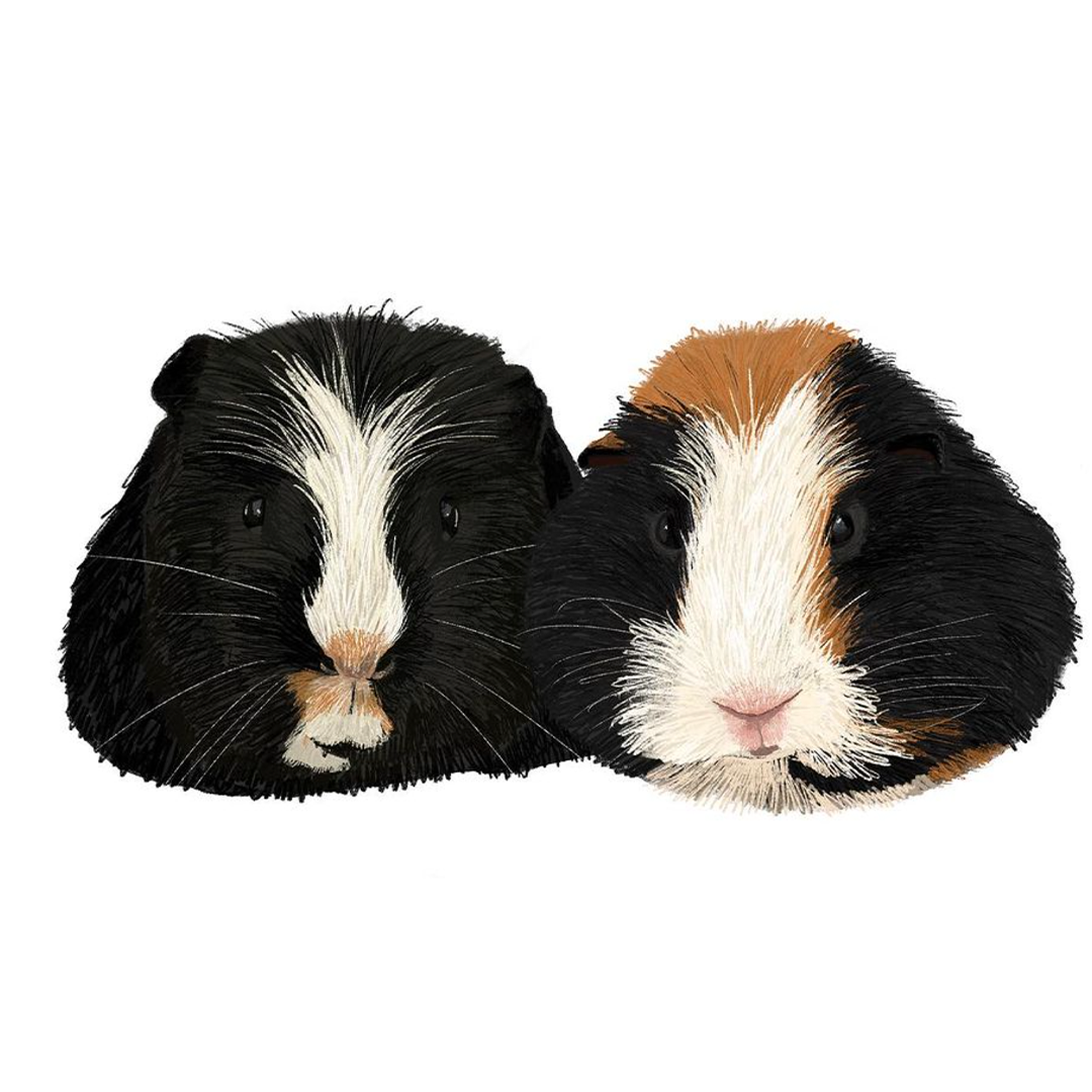 Piggies.png