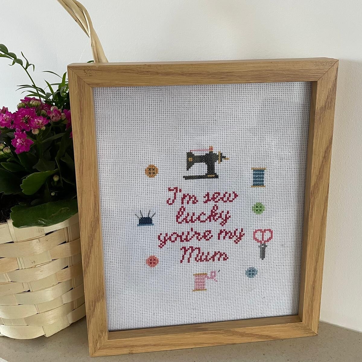 487814940_17857222359399830_4143096210766121361_n.jpg_st