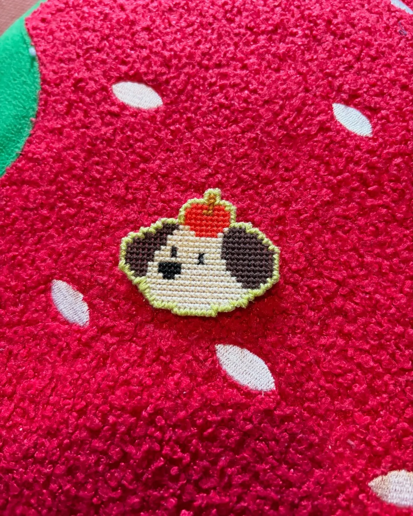 559980968_17880865962399830_5709555469275700762_n.jpg_st