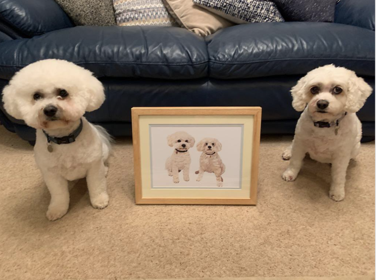 Dog Commission.png
