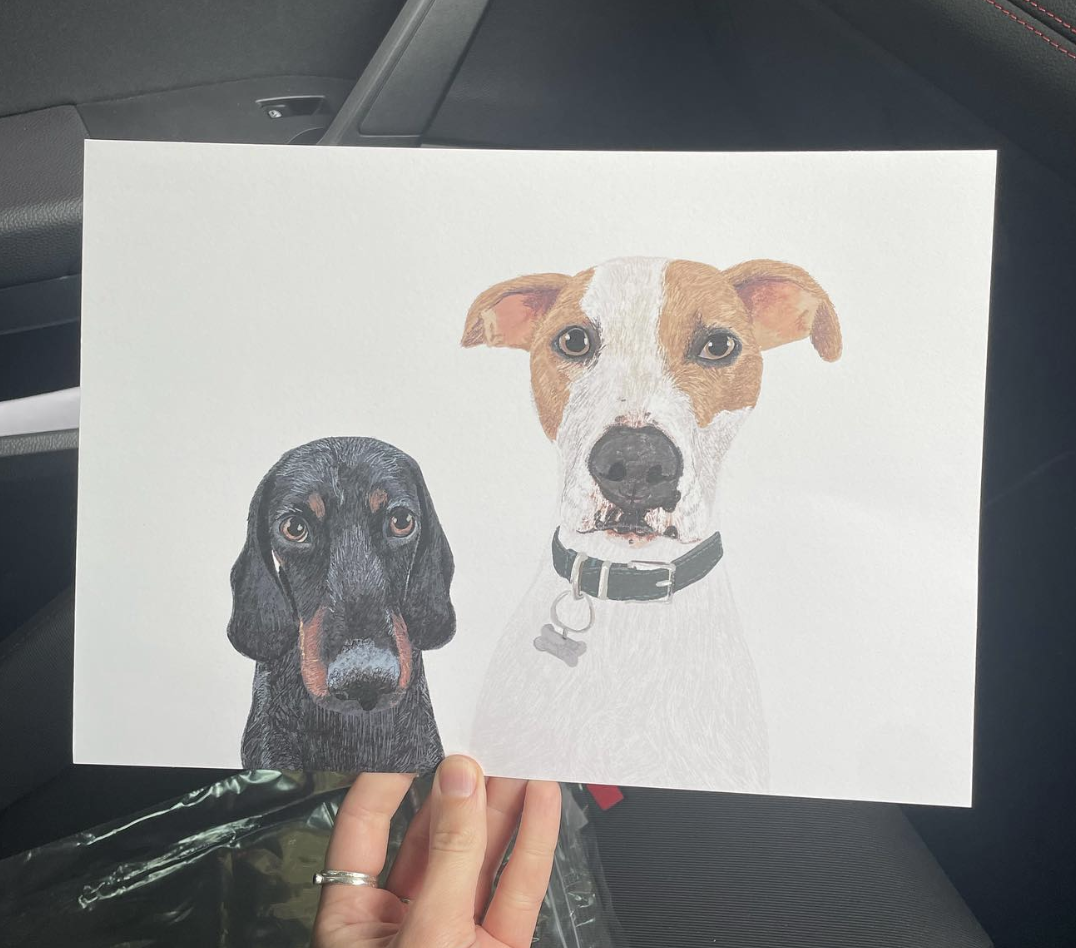 Dog Commission - Norman.png