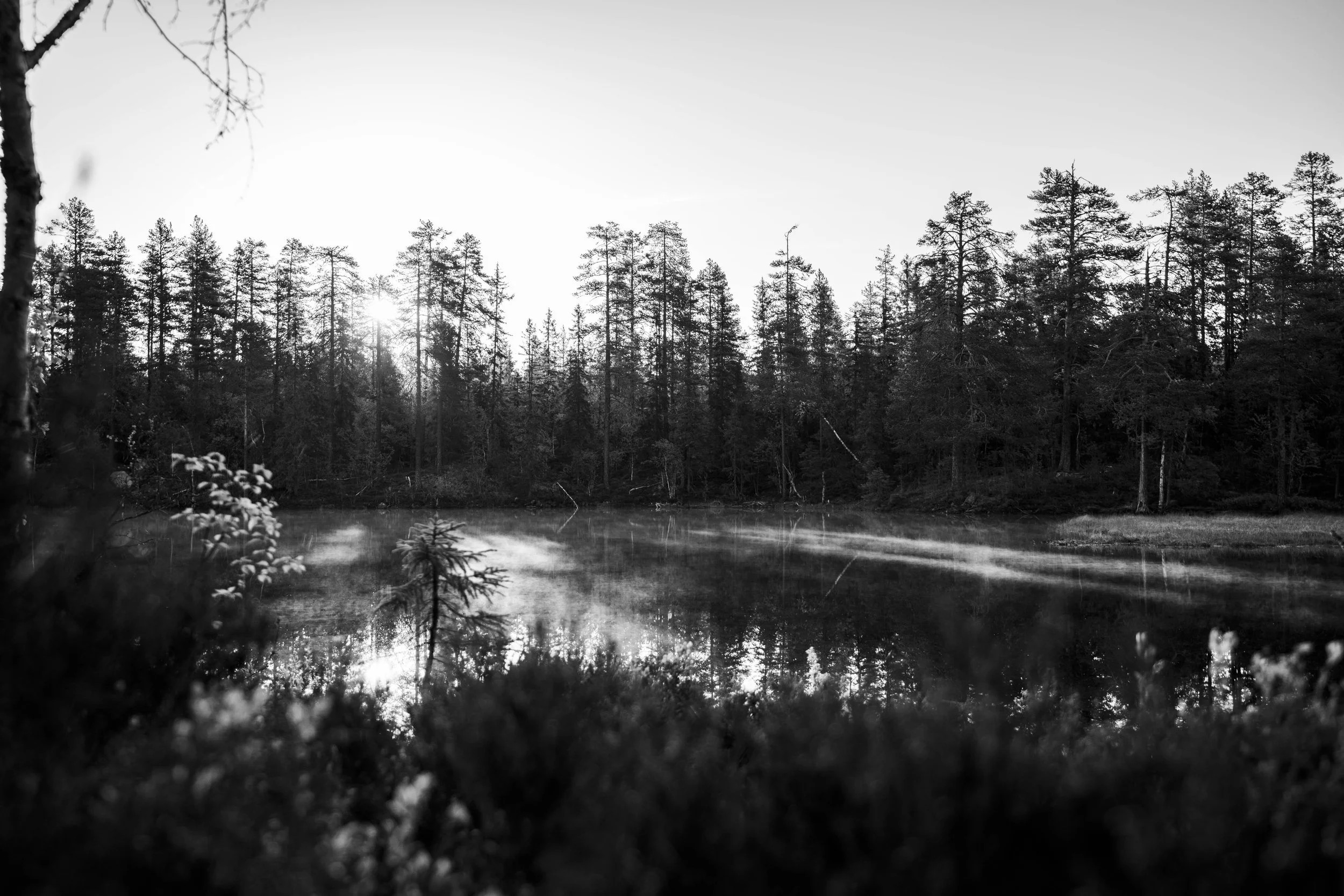 Våja Skyten b&w 3.jpg