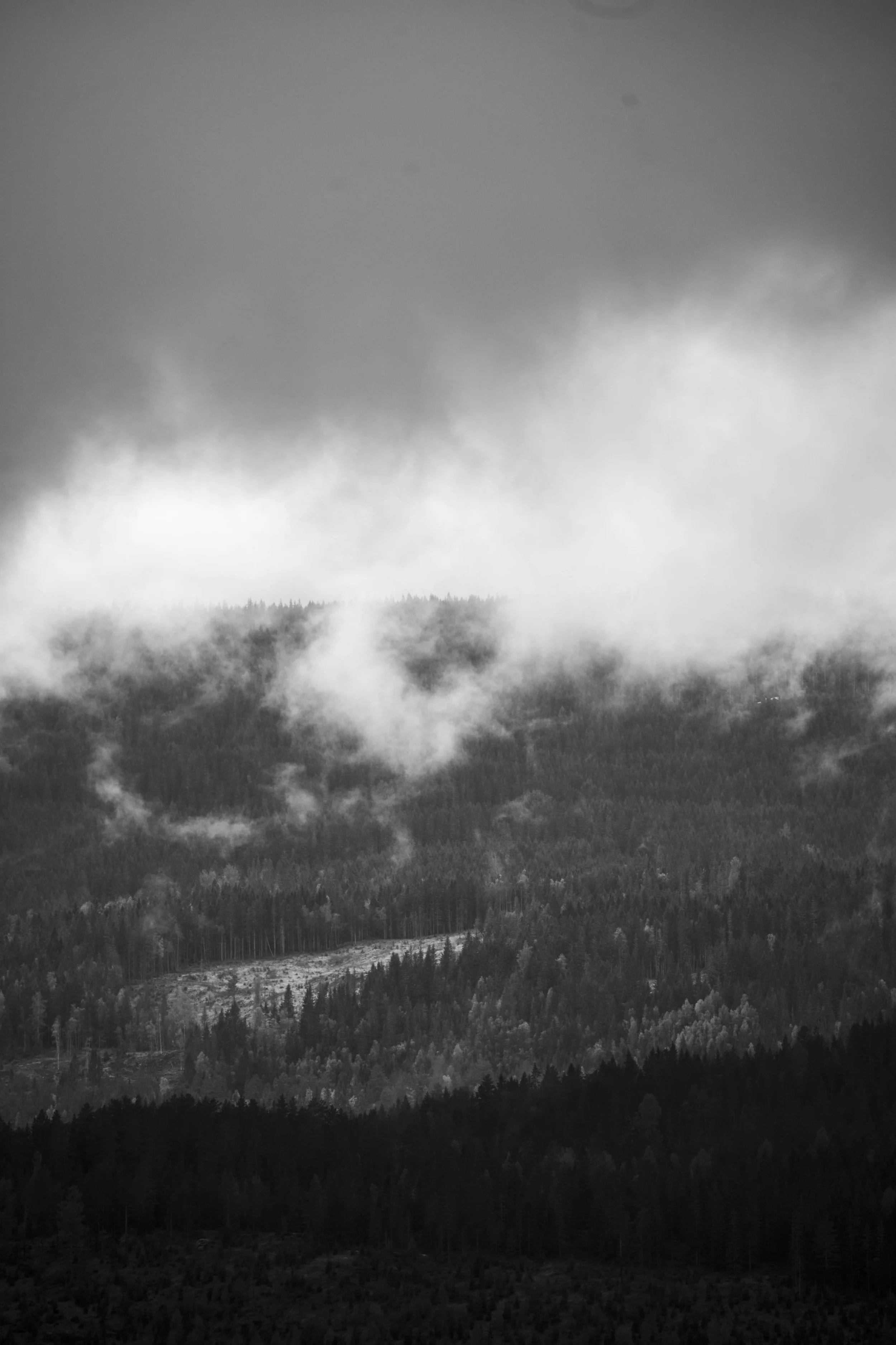 Nordmarka nord b&w.jpg