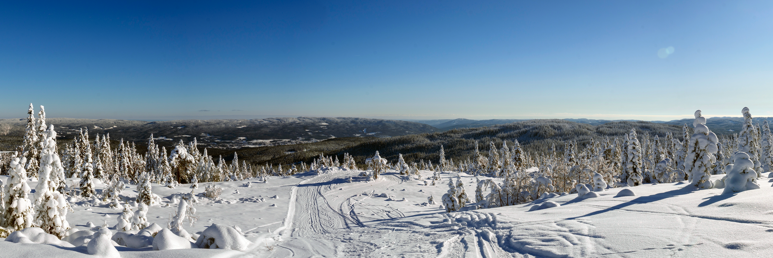 Bislingen Panorama.png