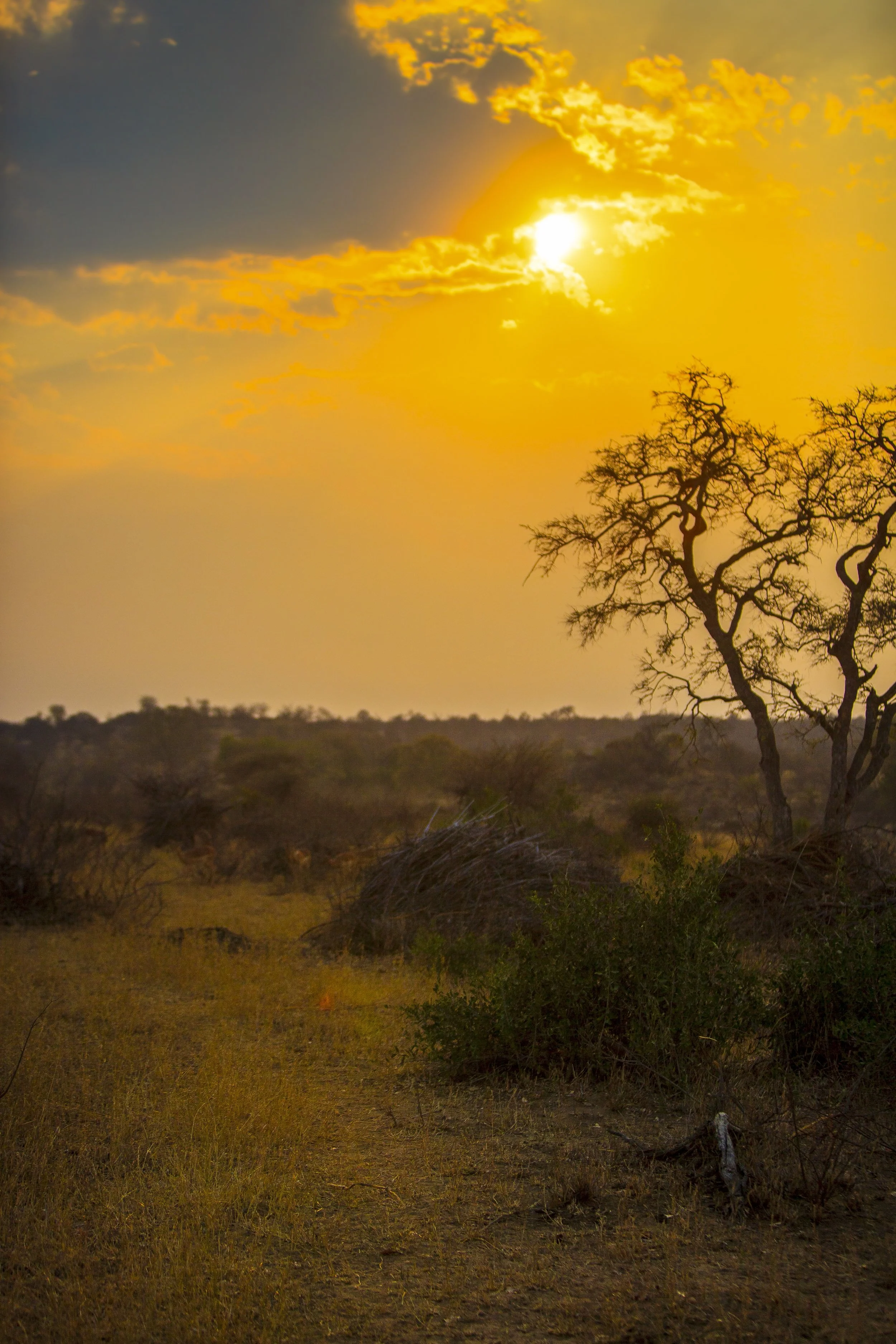 Solnedgang Kruger 2.jpg