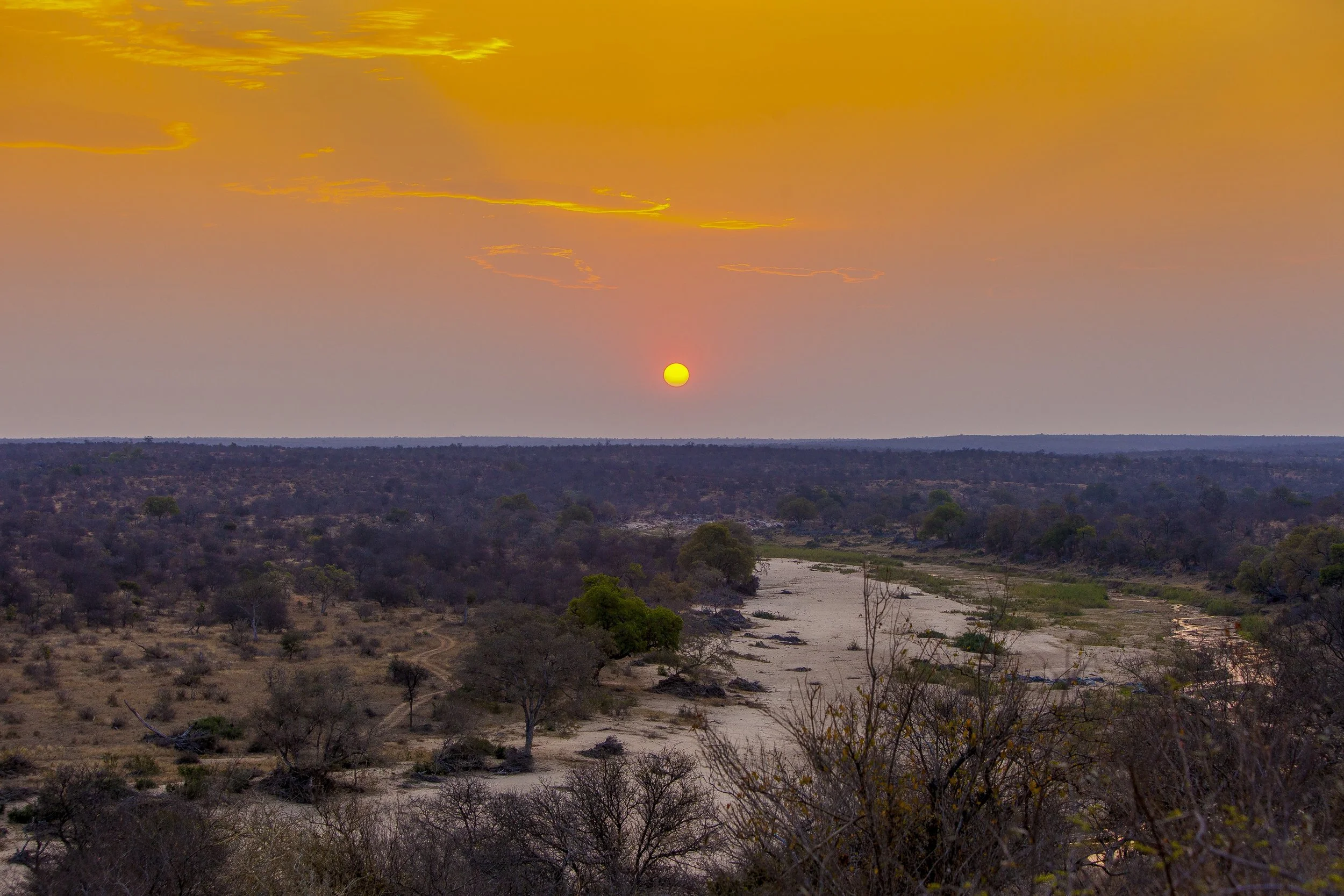 Sundowner Kruger.jpg