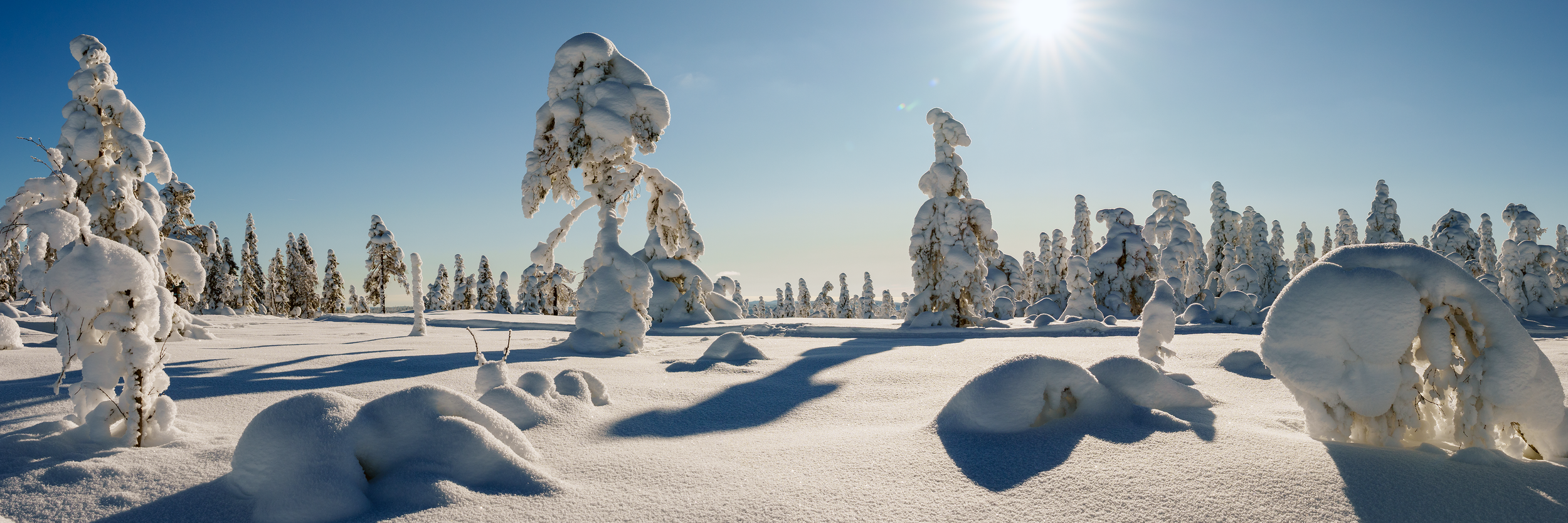 Bislingenflaka vinter panorama