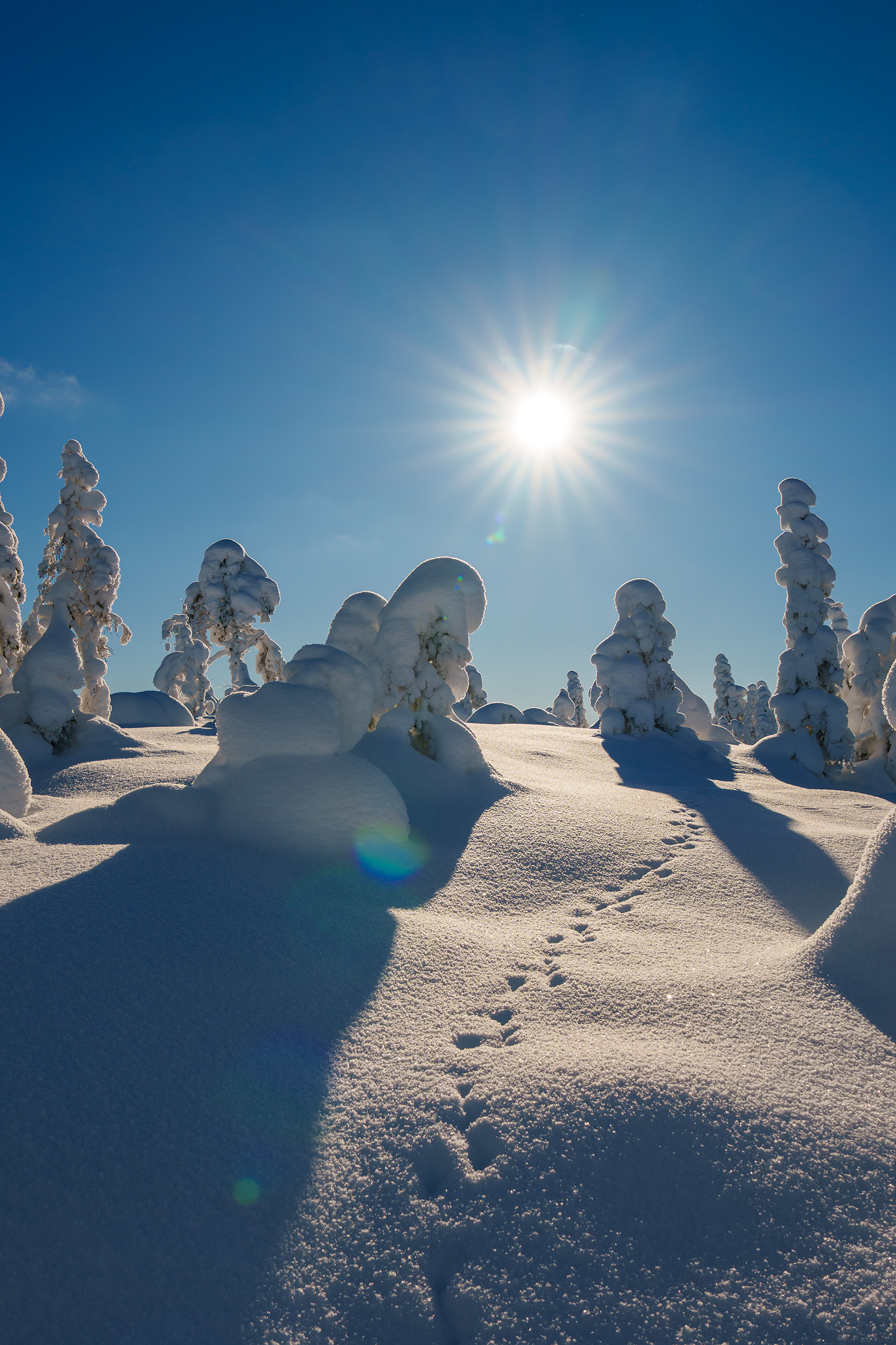 Bislingen vinter 1.png