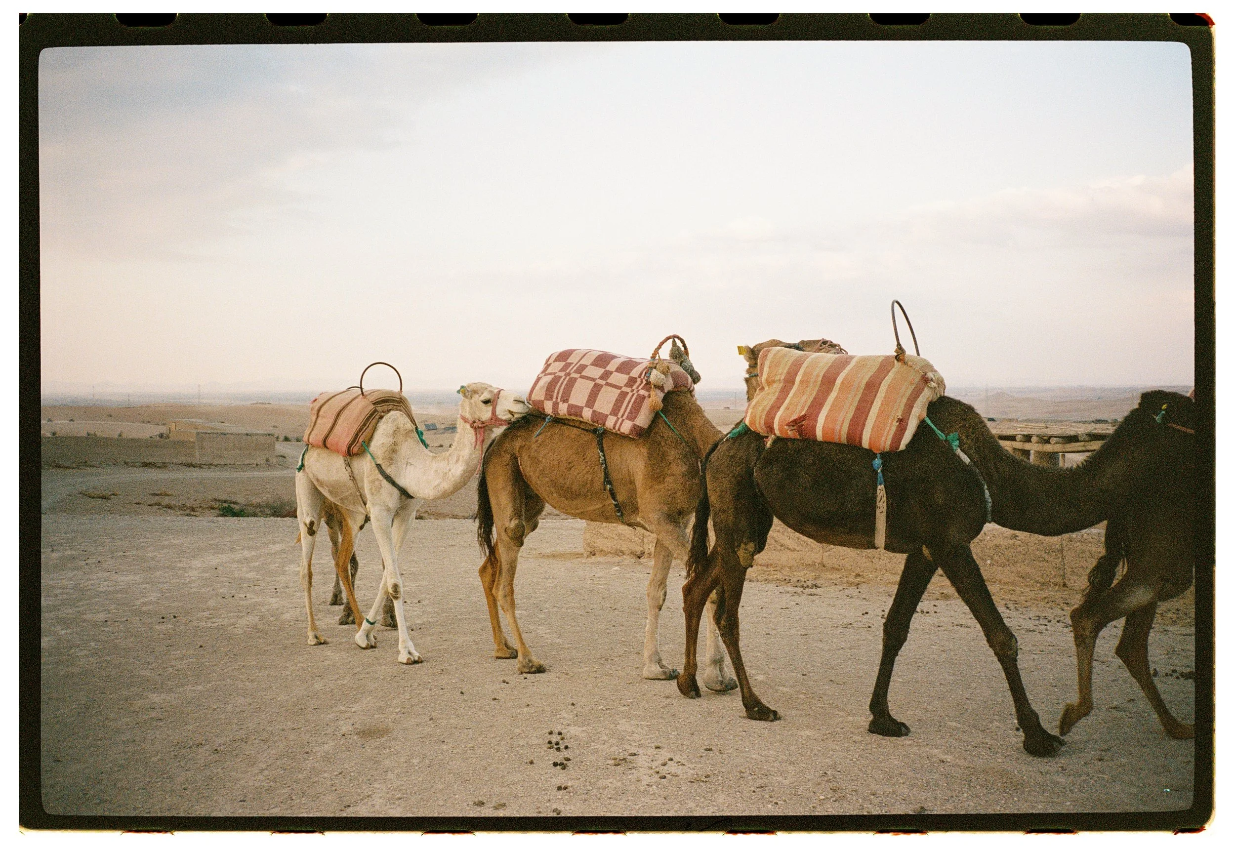 Morocco_November_0042.jpg