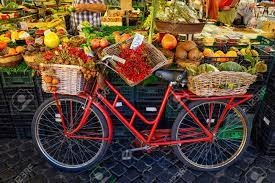 bike fruits.jpeg