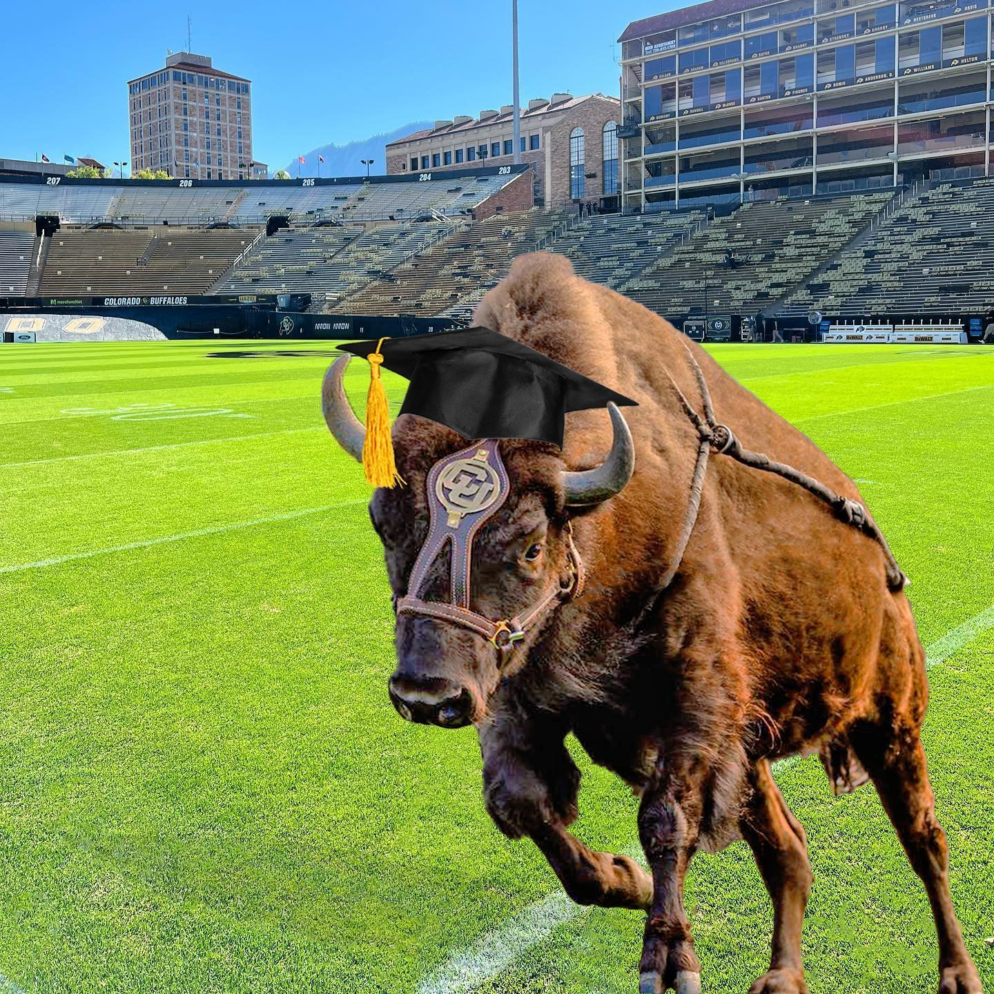 Congratulations to the CU Boulder class of 2024 🖤💛

It&rsquo;s time to charge your future, stampede your dreams, and let your Buffs light shine on this next exciting chapter! But first, a well deserved weekend of rest, commemoration, and perhaps ev