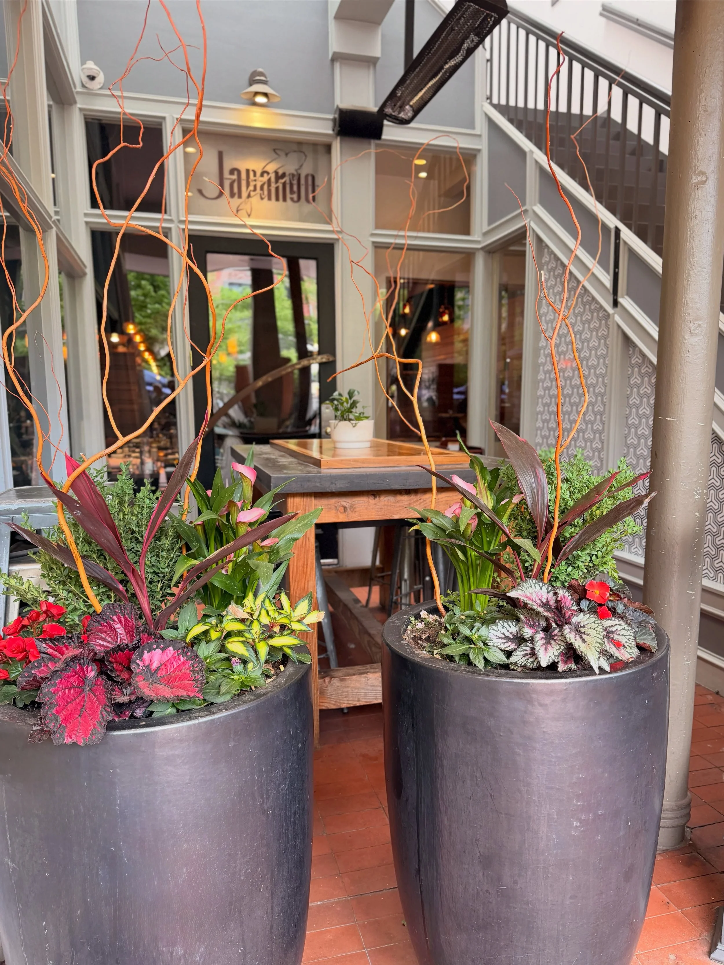 Allow us to proudly introduce you to the overachiever of our seating chart.

Affectionately known as The Succulent Garden, what was once a plant-filled oasis (and the original entrance for the real OGs) is quietly one of our favorite spaces:

✅ Priva