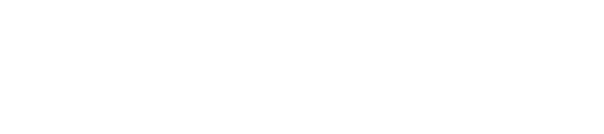Thunderbird Fried Chicken Logo