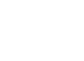 Logo for Fly South Music Group, featuring white text on a black circular background.