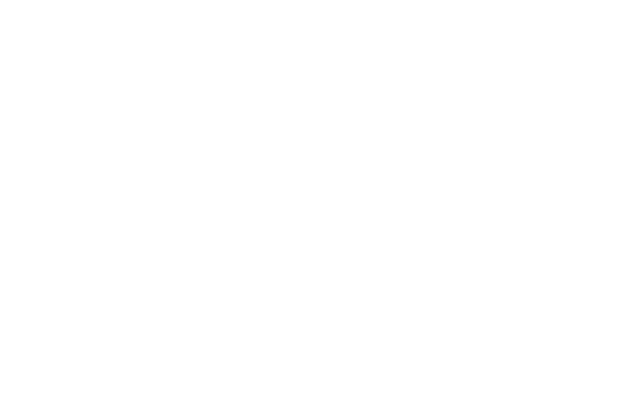 Nikki Beach.png