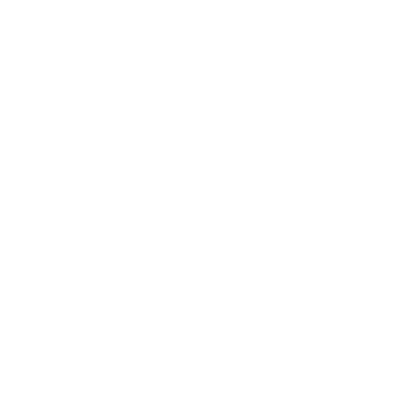Newcastle United Football Club Logo
