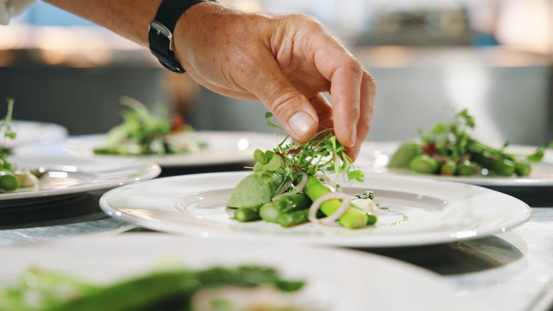 Still 2026-04-07 110105_1.1.5.jpg