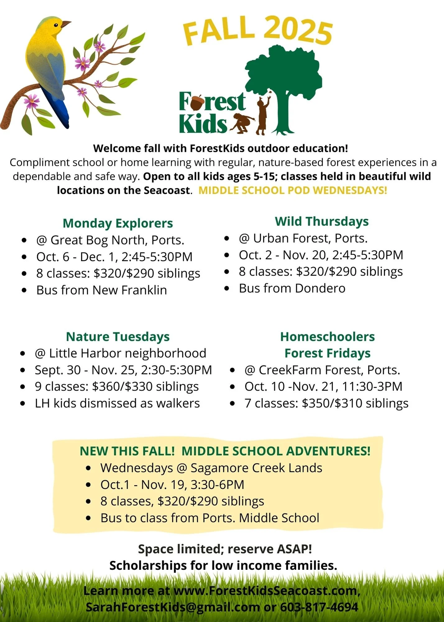 ForestKids Fall Programming Registration Open!