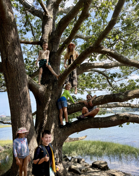 ForestKids tree.png