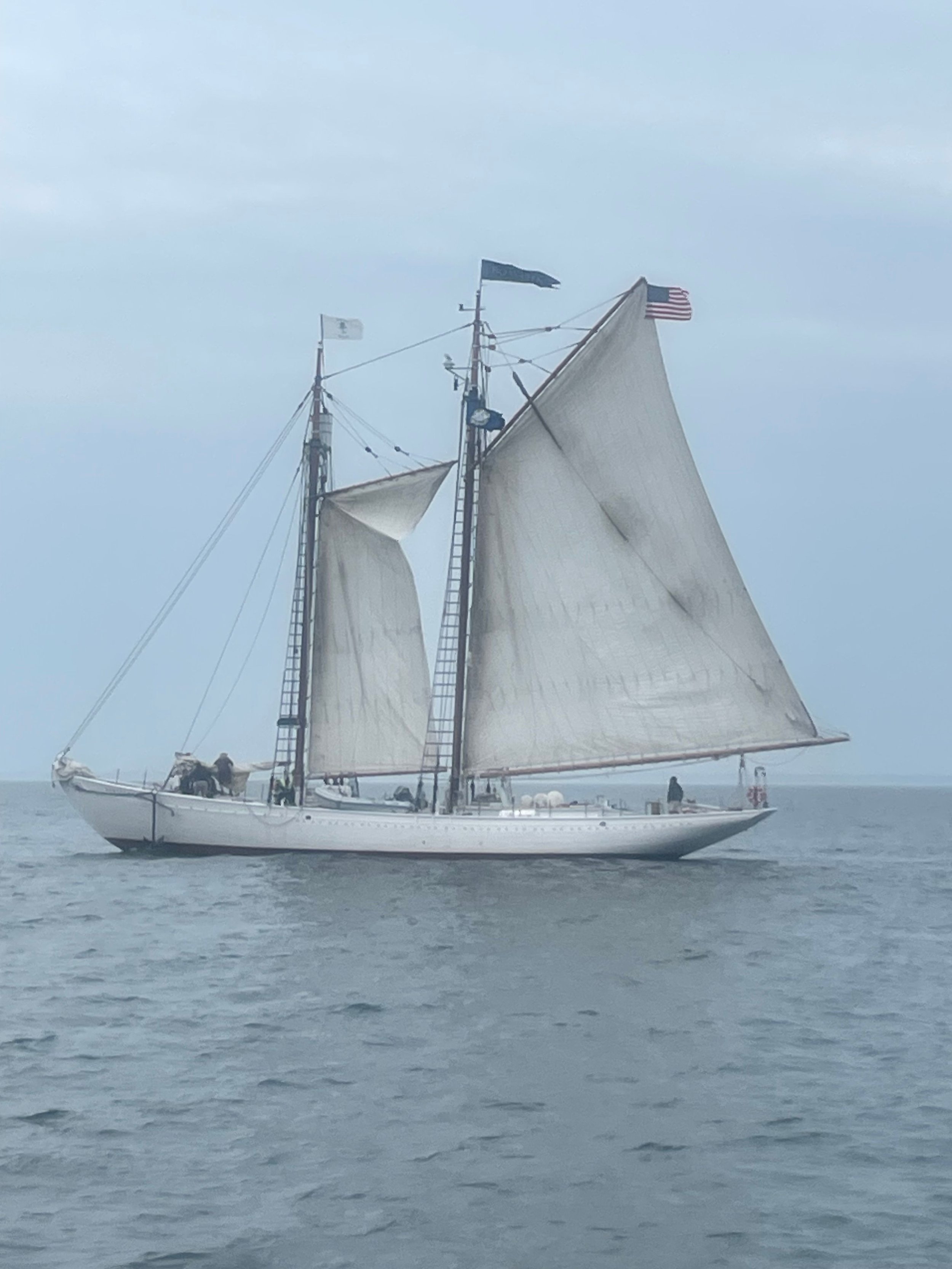 Sail Portsmouth3.jpg