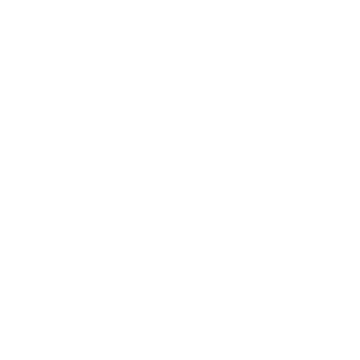 PDF file
