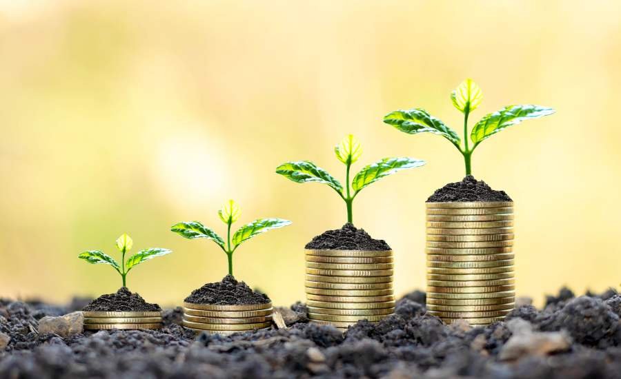 Why Grants Aren’t Enough:          The Case for Catalytic Capital