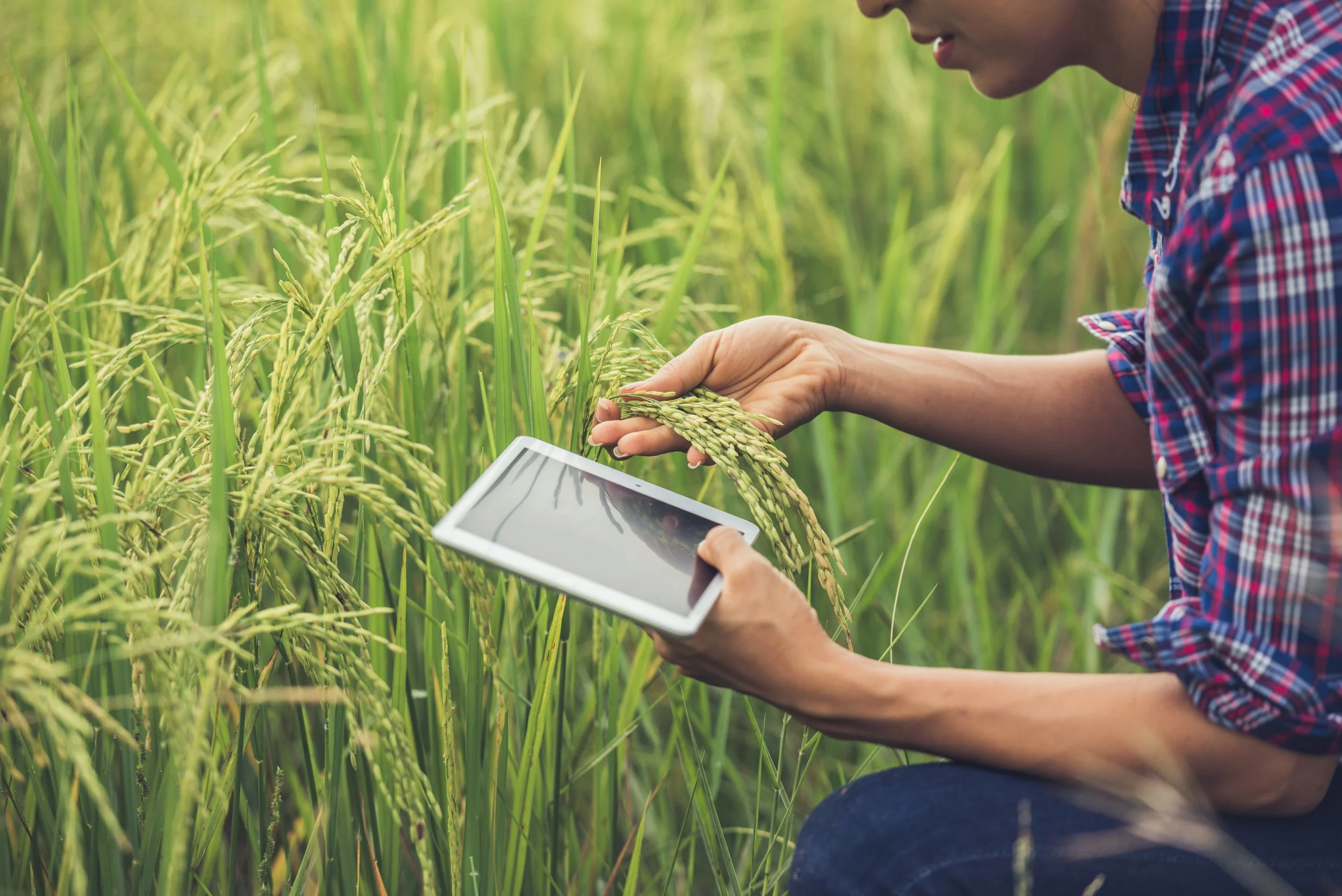 Grounded Intelligence: Making AI Work for India's Smallholder Farmers