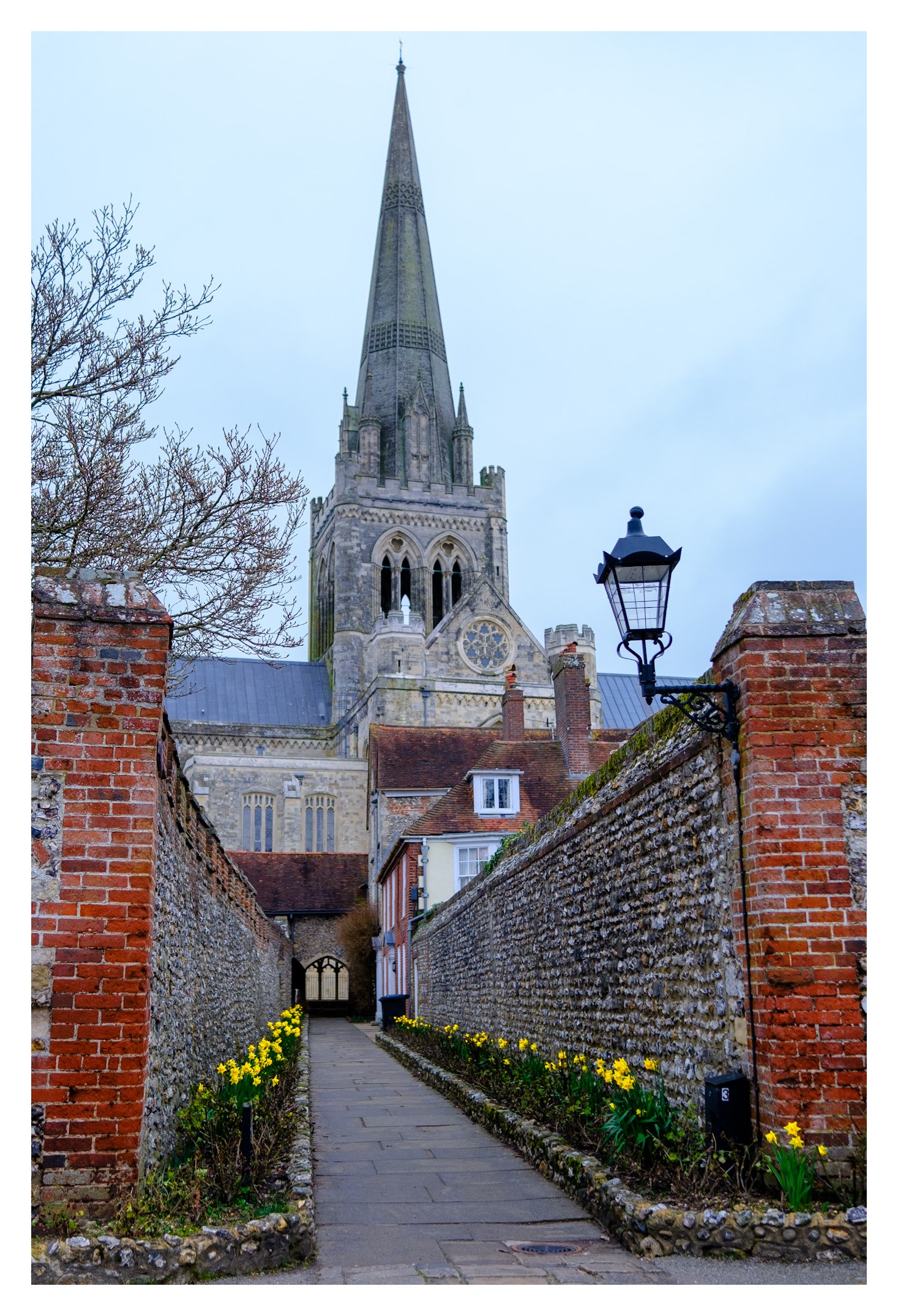 Canon Lane 31/01/2024