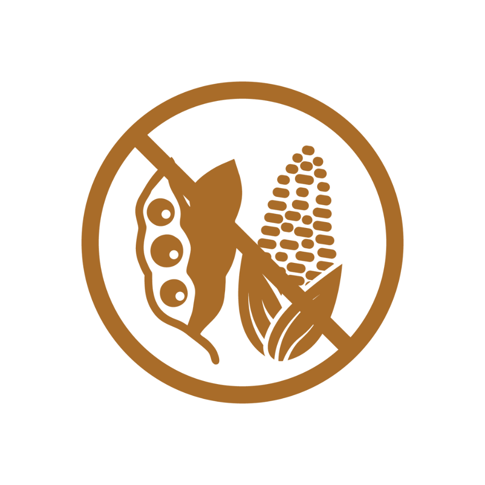 Nuts and Worms - Seed Cake