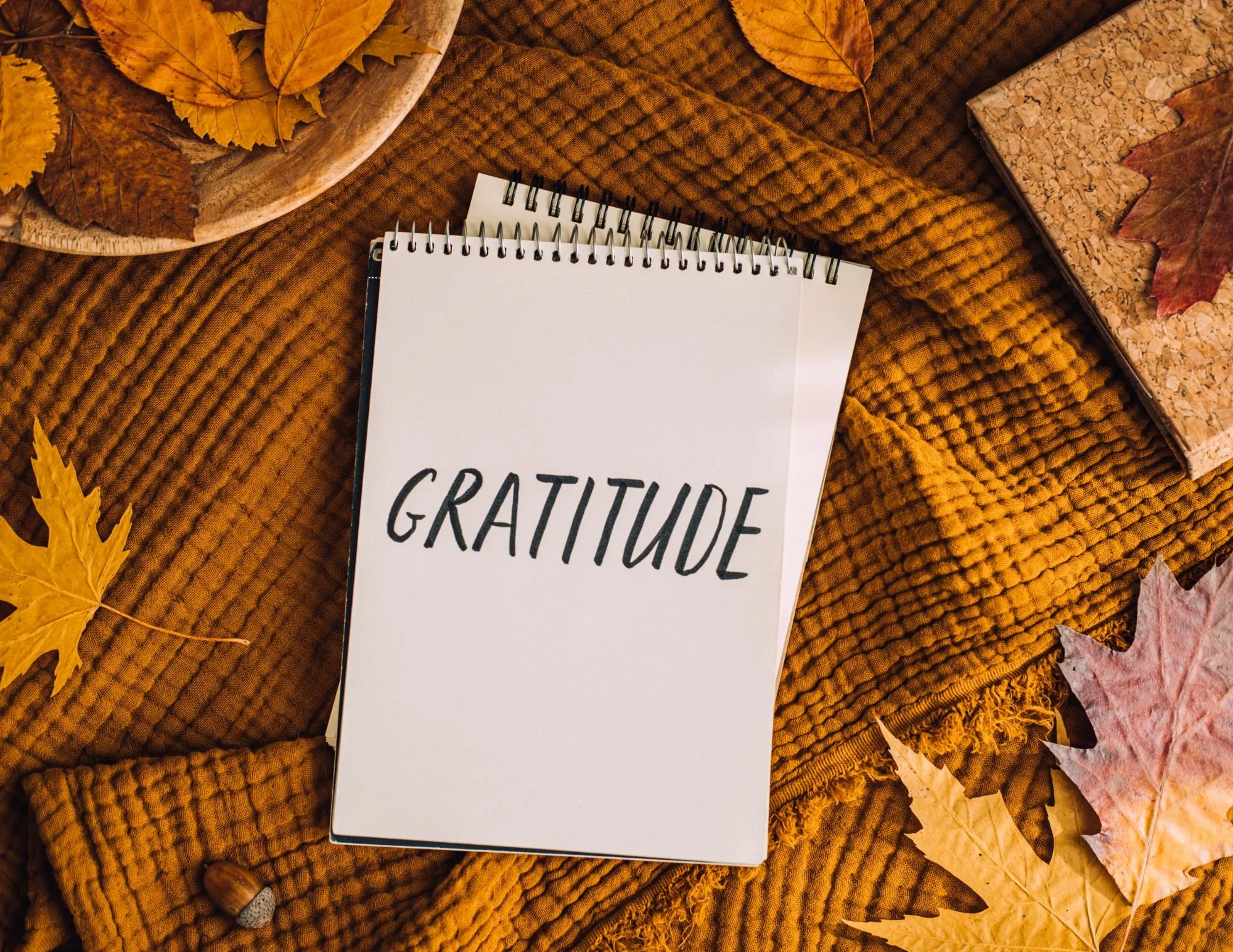 Acción de Gracias: Mucho Más que una Tradición