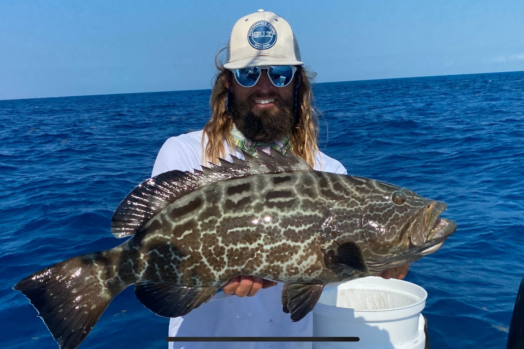 Black Grouper 