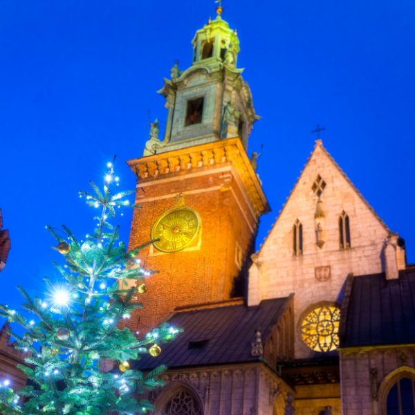 Christmas tree in front of Wawel Wathedral in Krakow, Poland