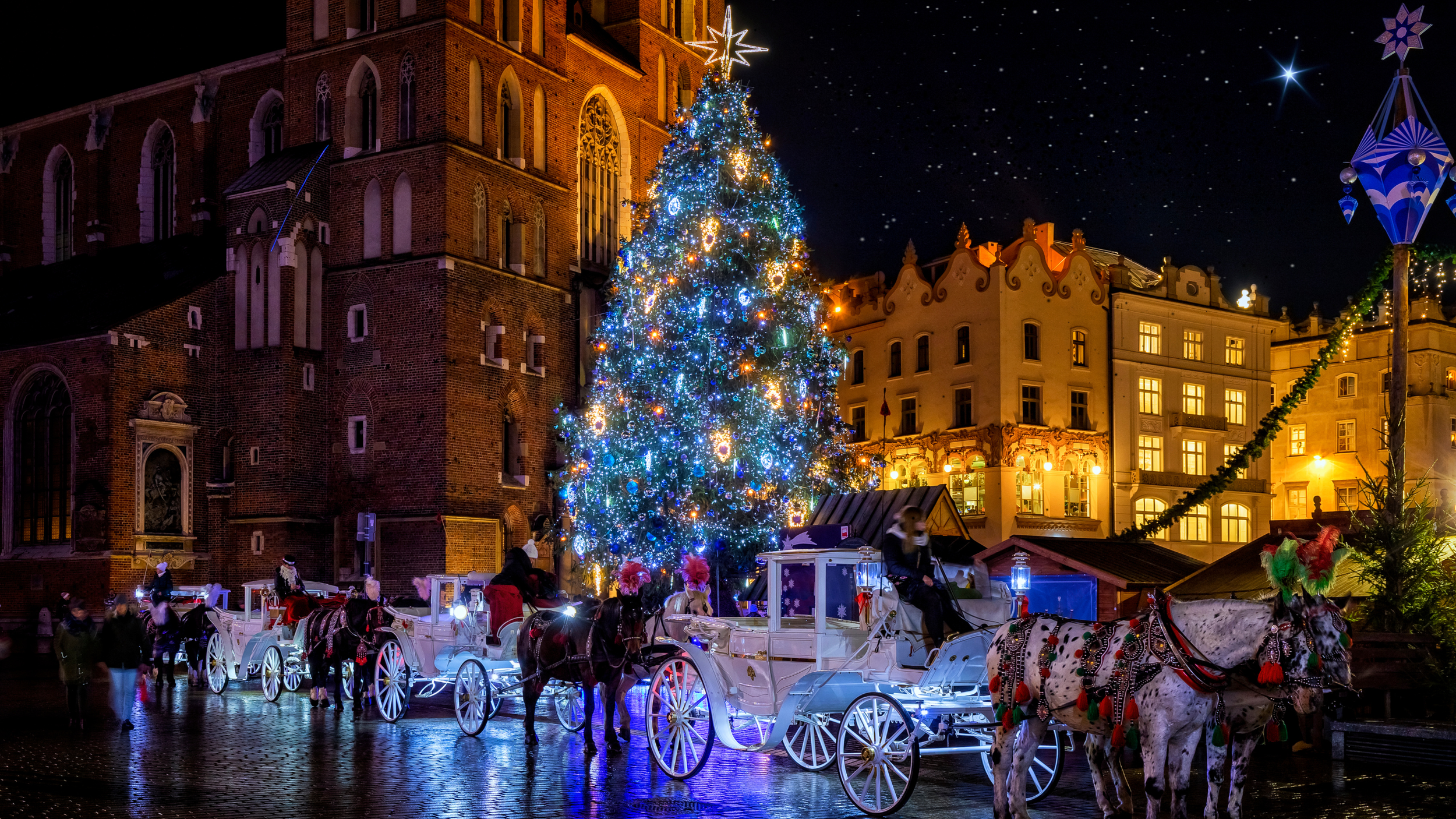 Decorated Christmas tree with horse drawn carriages at nighttime in Warsaw, Poland