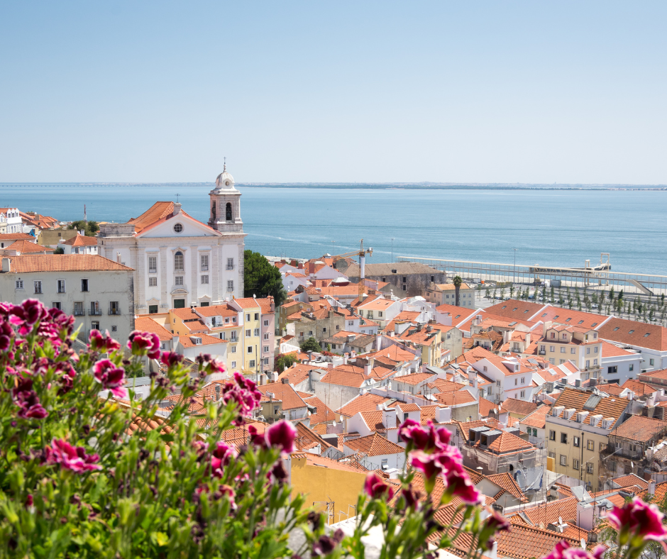 Pinkish red spring flowers in the foreground, overlooking Lisbon, Portugal