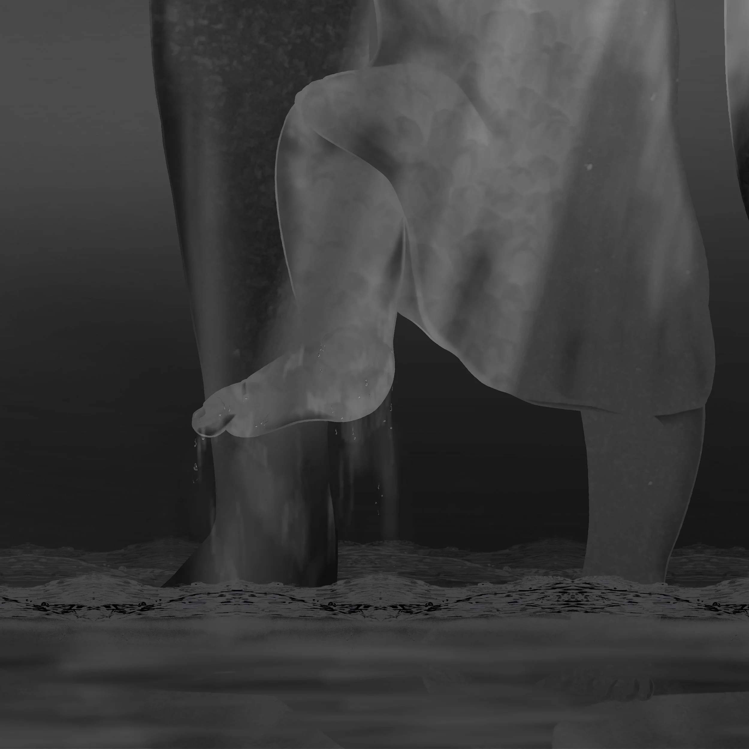 foot 1.jpg