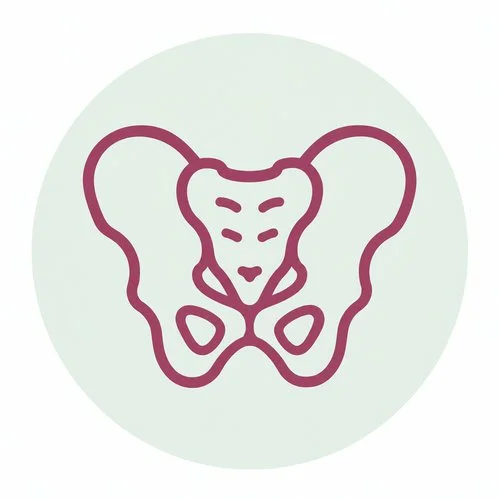 Pelvic Health 101 anatomy icon