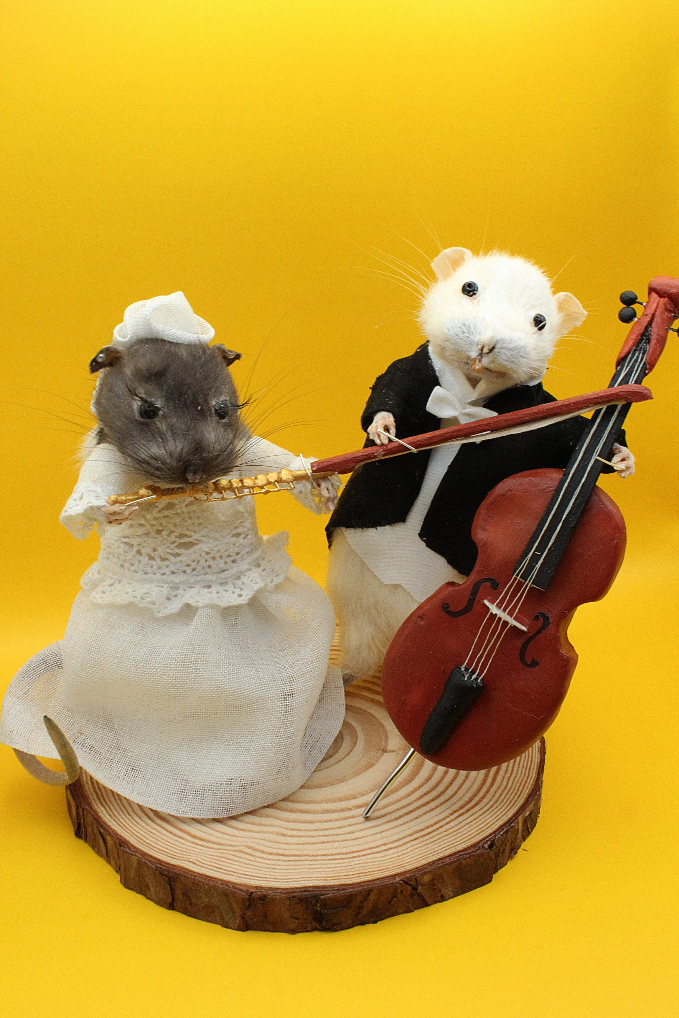 Rat-mantic duet
