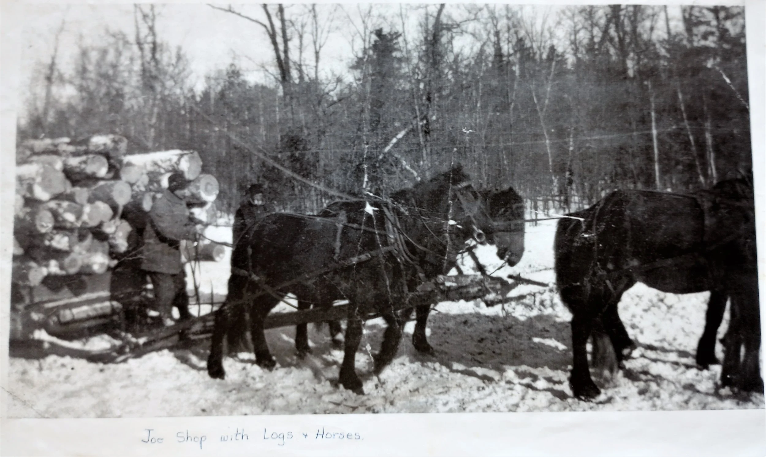 Joe Shop Logging Team - 6.jpg